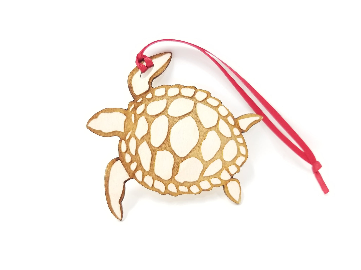 Sea Turtle