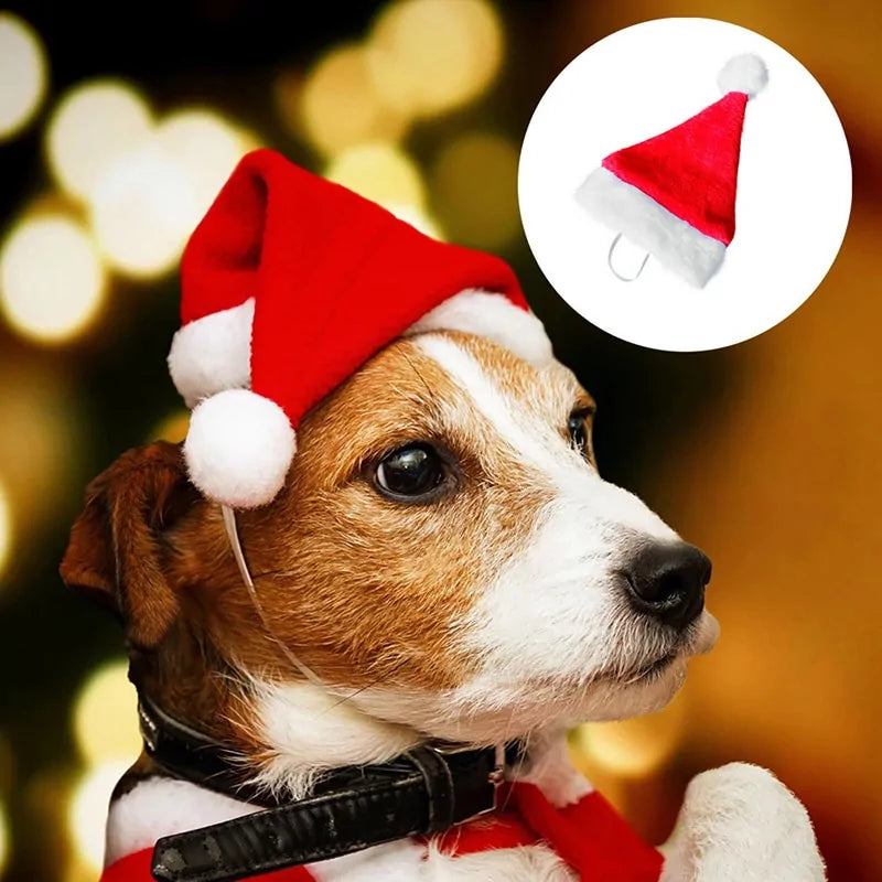 Holiday Pet Santa Cap