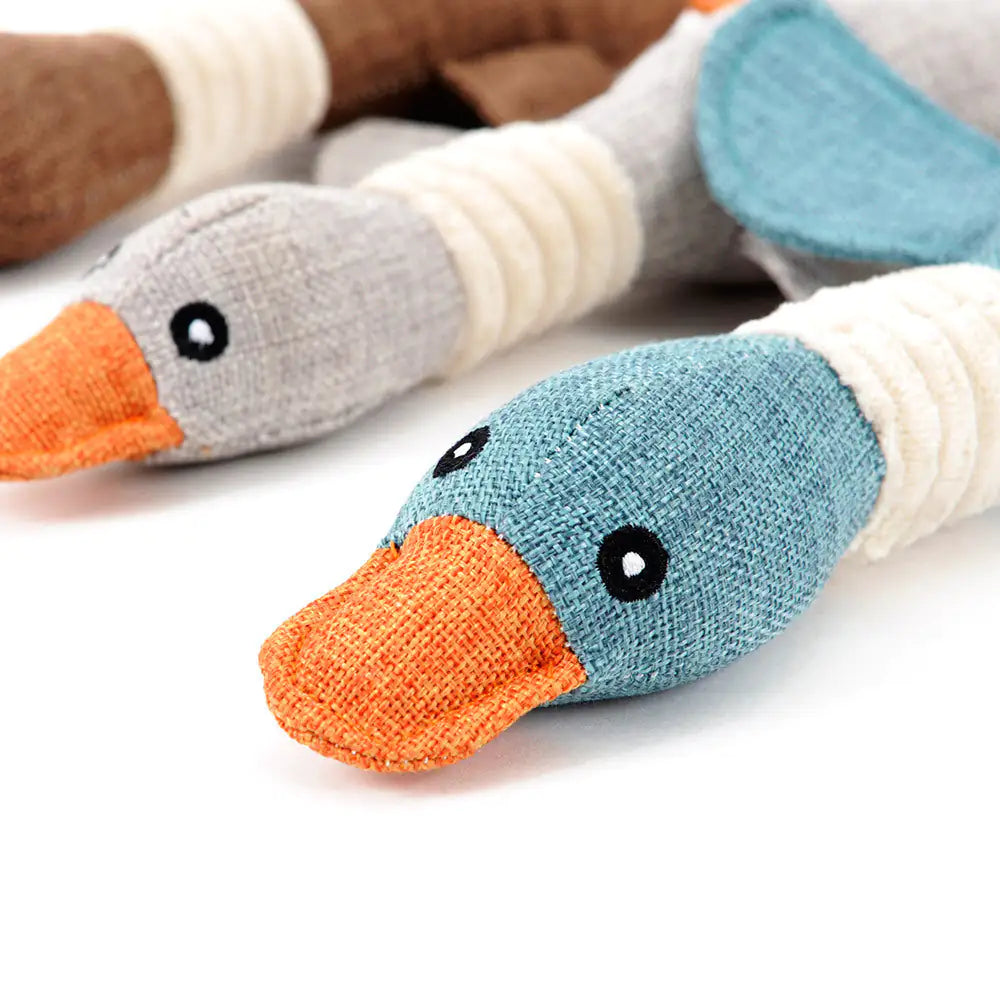 ChewMaster Duck Toy