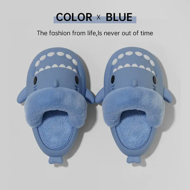 Shark Comfort Slides