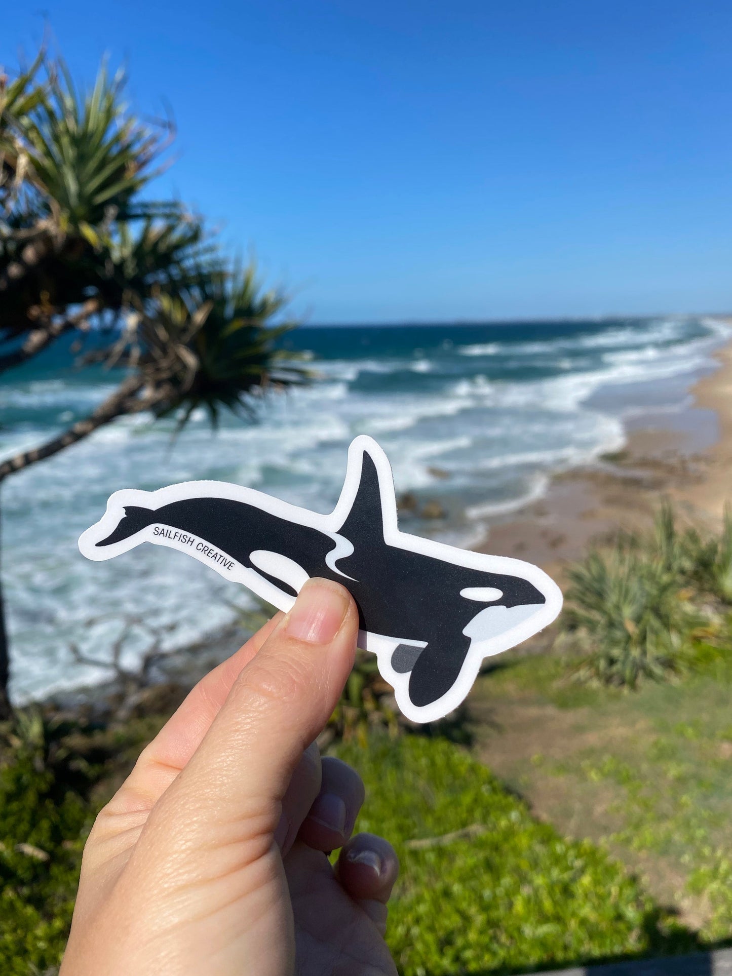Sticker - Orca Killer Whale