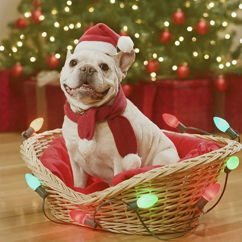 Holiday Pet Santa Cap