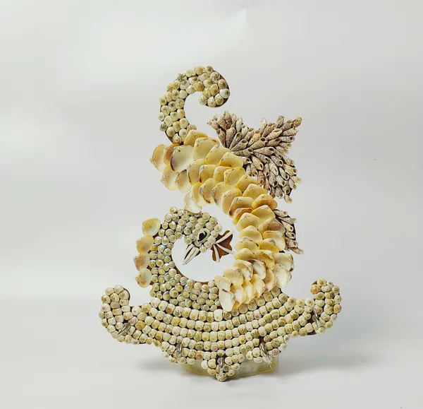 Multicolor Sea Shell Peacock Key Holder for key Hanging with 5 Hooks